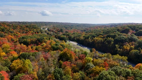 Aerial view of highway weaving through autumn forest Stock Footage 289345890