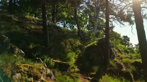 Aerial view hiking path to Dalaborg Fortress ruins on Lake Vänern coast in Vídeo Stock 330922594