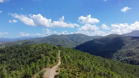 Aerial view of hiking path surrounded by pine trees in Piedmont, Italy Stock Footage 316029525