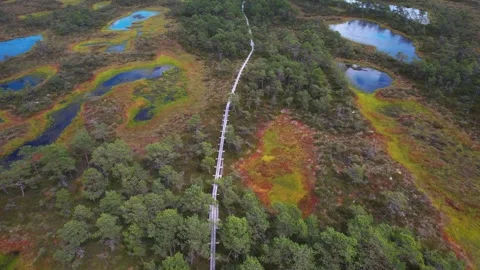 Aerial view of a hiking trail going across a bog in Estonia Video stock 257132495