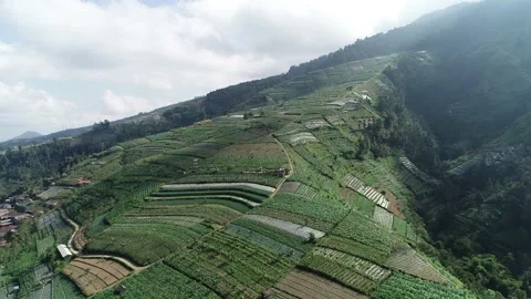 Aerial View of a Hill Stock Footage 143960832