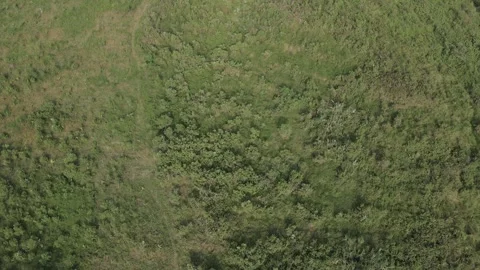 Aerial view of hill Stock Footage 291833734