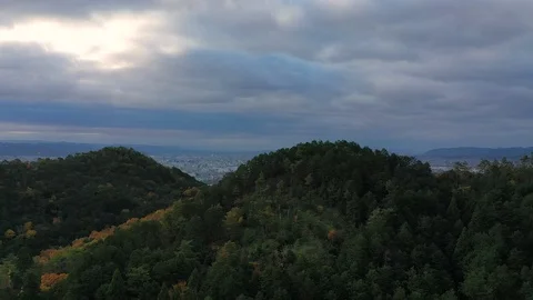 Aerial view of hills around Kyoto City, autumn scenery with colorful trees,Japan Stock Footage
