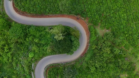 Aerial View of Hilly Road Passing Through Lush Green Tea Plantations in Kerala Stock Footage 341310022