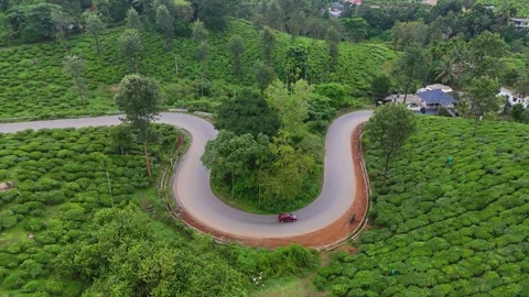 Aerial View of Hilly Road Passing Through Lush Green Tea Plantations in Kerala Stock Footage 341310125