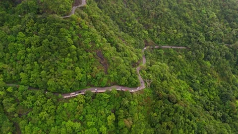 Aerial View of Hilly Roads Through Lush Green Mountains with Dense Forest Stock Footage 341310247