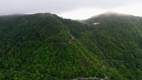 Aerial View of Hilly Roads Through Lush Green Mountains with Dense Forest Stock Footage 341310300