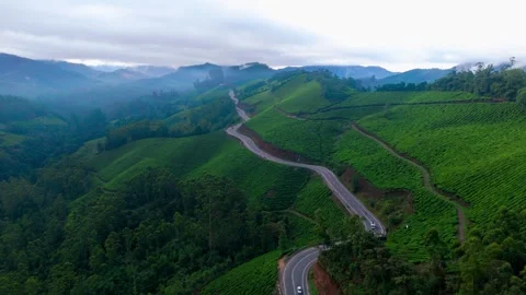 Aerial View of Hilly Roads Through Lush Green Mountains with Dense Forest Stock Footage 341310302