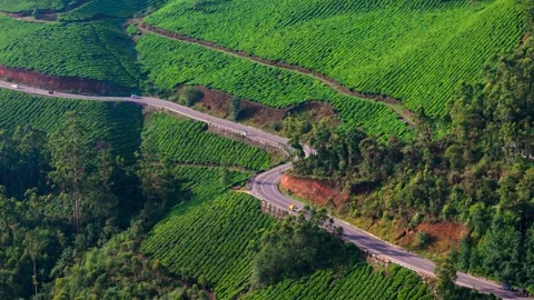 Aerial View of Hilly Roads Through Lush Green Mountains with Dense Forest Stock Footage 341310384