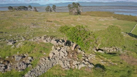 Aerial view of Historic Stonefields in Mangere, Auckland, New Zealand 스톡 동영상 143292652