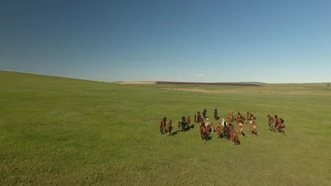Aerial view of horses Stock Footage 102236057