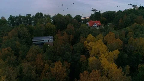 Aerial view of a house in the middle of a forest during the autumn, Estonia. Stock Footage 101568665