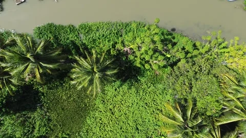 Aerial view of the house by the river Stock Footage 252107816