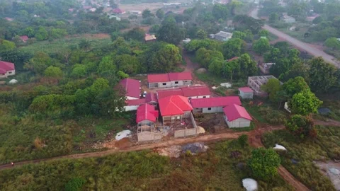 Aerial view of houses with red roofs surrounded by lush green trees and Stock Footage 317391853