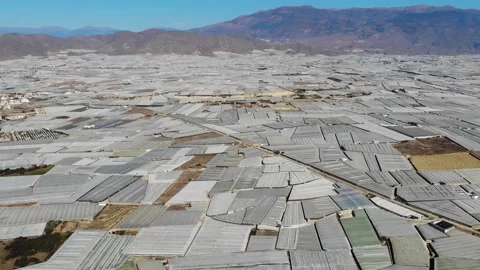 Aerial View Of A Huge Area Filled With Greenhouses In Andalucia, Southern Spain Stock Footage 195794623