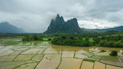 Aerial view hyper lapse of Rice field in Muang Fuang, Laos Stock Footage 242381439