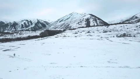 Aerial View of Ice-Covered Snow Mountains and Frozen Alpine Landscape in Winter Video stock 341910342