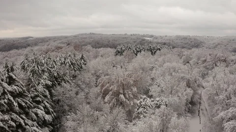 Aerial View Of Ice Storm Effect On Trees Stock Footage 99010974
