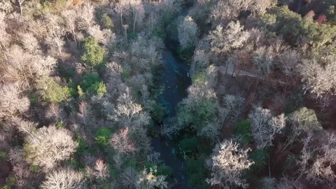 Aerial view of Ichetucknee Springs State Park in northern Florida. Video stock 123778479