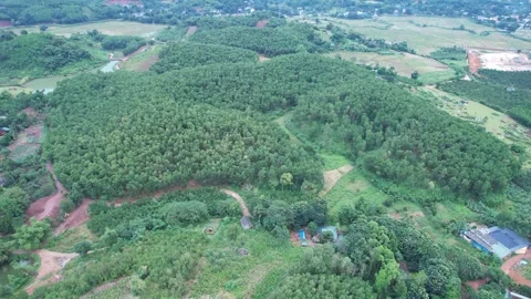 Aerial view of iconic round tea plantation in the mountains. Stock Footage 339455641
