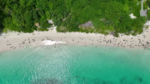 Aerial view of iconic tropical Maya Bay,Phi Phi islands, Stock Footage 201328597