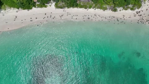 Aerial view of iconic tropical Maya Bay,Phi Phi islands, Stock Footage 201328616