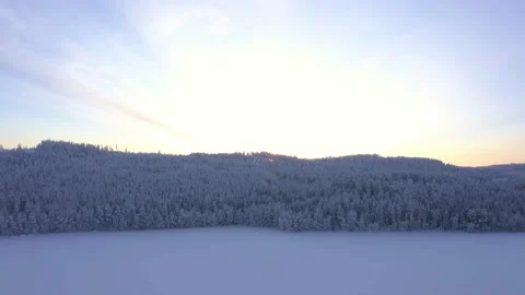 Aerial view of the icy forest during the rising sun in Finland Video stock 155374505