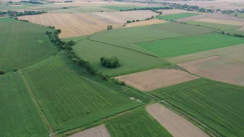 Aerial view of idyllic,  patchwork landscape Stock Footage 236487374