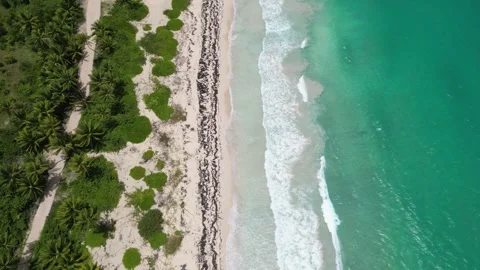 Aerial view of idyllic Playa Rincón beach near Las Galeras on the lush Samaná Stock-Footage 299568054