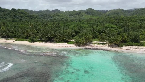 Aerial view of idyllic Playa Rincón beach near Las Galeras on the lush and Stock-Footage 299568885