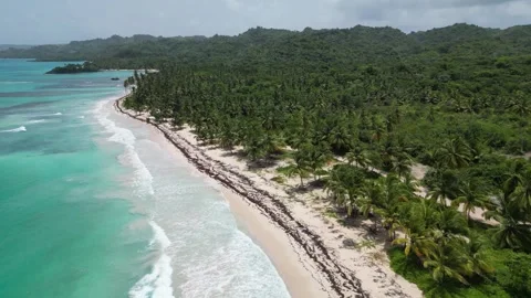 Aerial view of idyllic Playa Rincón beach near Las Galeras on the lush and Vidéo 299569195