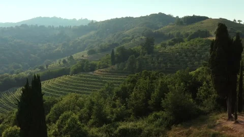 Aerial view of an idyllic stepped hill in the Po Valley, Italy. Stock Footage 159403848