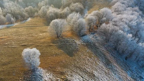 Aerial view of idyllic winter landscape with frozen trees in Transylvania. Stock Footage 122367106