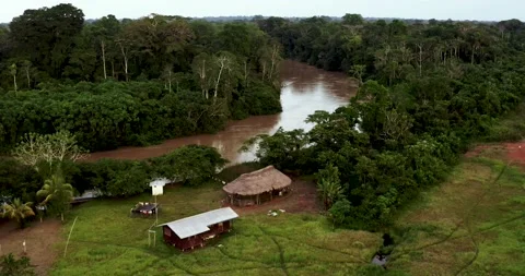 Aerial View of Indigenous community, Amazon rainforest, Ecuador Video stock 196842501