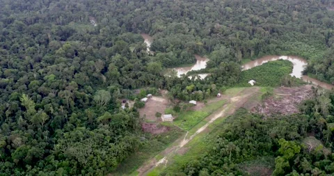 Aerial View of Indigenous community, Amazon rainforest, Ecuador Video stock 196842886