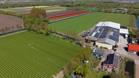 Aerial view of an industrial farm complex with solar panels on roofs. Drone Stock Footage 337637728