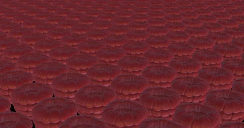 Aerial view - Industrial processing Raspberry 3d animation Stock Footage 192161083