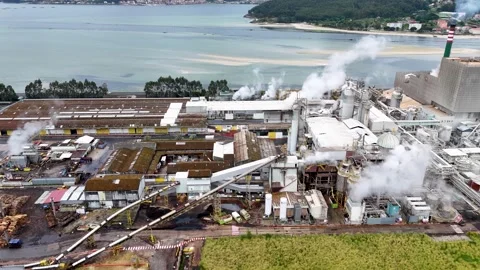 Aerial view of industrial pulp mill factory pollution Stock Footage 335266034
