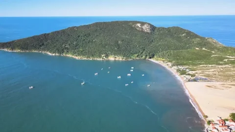 Aerial view of Ingleses beach in Florianópolis, Santa Catarina Stock Footage 319971727