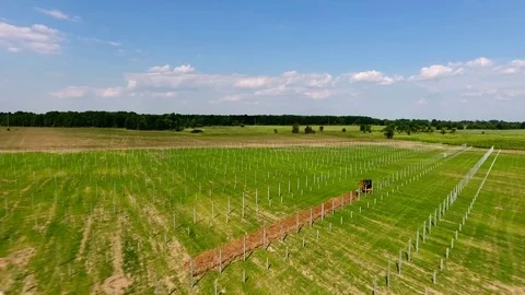 Aerial view of installing solar field pillars construction project. in country. Stock Footage 105174023