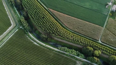 Aerial View of Intersecting Agricultural Fields and a Stream Stock Footage 302304209