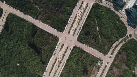 Aerial view to intersection in green landscape. Empty roads in Mexico Stock Footage 233429924