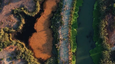 Aerial View of Intertidal Zone with Algae and Sediment 動画素材 309283688