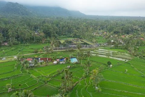 Aerial View of Intricate Patterns in Sibetan Rice Terraces, Bali, Indonesia Stock Photos