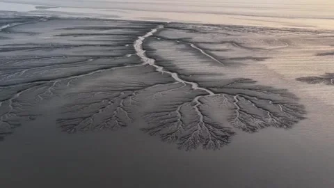 Aerial View of Intricate Tidal Tree Patterns on Qiantang River Mudflats, China Stock Footage 337598963