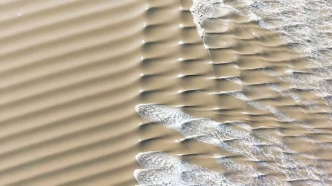 Aerial View of Intricate Tidal Tree Patterns on Qiantang River China Stock Footage 339594706