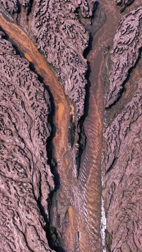 Aerial View of Intricate Tidal Tree Pattern Mudflats Qiantang River China Stock Footage 342599459