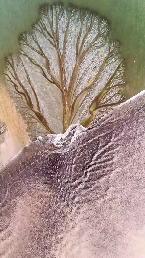 Aerial View of Intricate Tree-like Patterns on Qiantang River Tidal Flats China Stock Footage 339595067