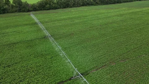 Aerial view of an irrigation machine in a green field Stock Footage 300844028