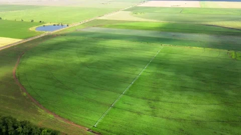 Aerial view of an irrigation machine in a green field Stock Footage 300844154